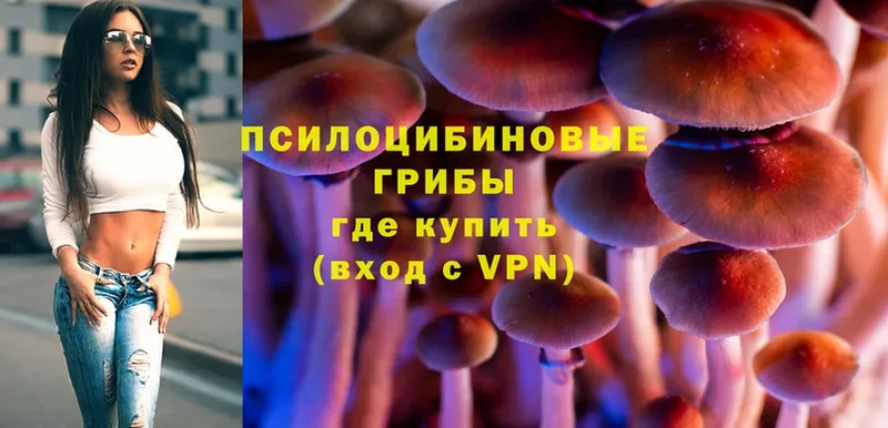 Псилоцибиновые грибы Psilocybine cubensis  Грайворон 